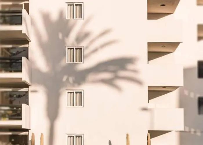 Roca - Playa del Inglés